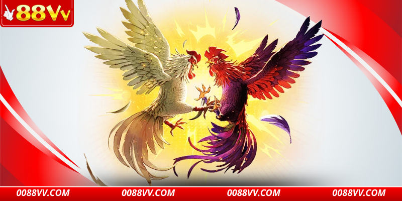 Chia sẻ mẹo hay để chinh phục trận đấu đỉnh cao tại 88VV